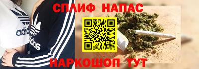 гидра Малоярославец