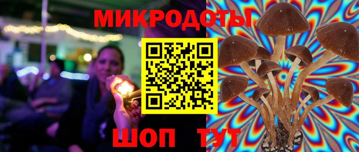 Псилоцибиновые грибы прущие грибы Грязи