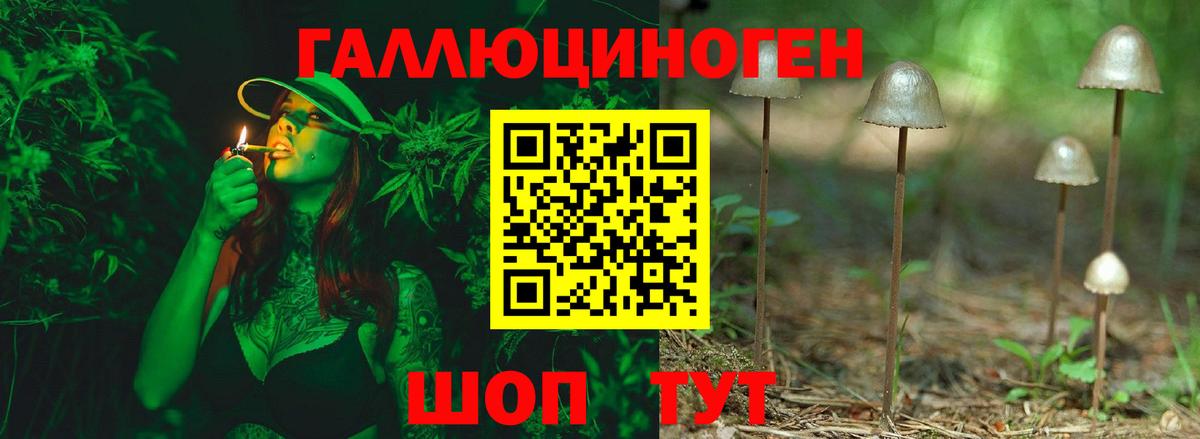 Галлюциногенные грибы ЛСД  Вход с VPN  Грязи 